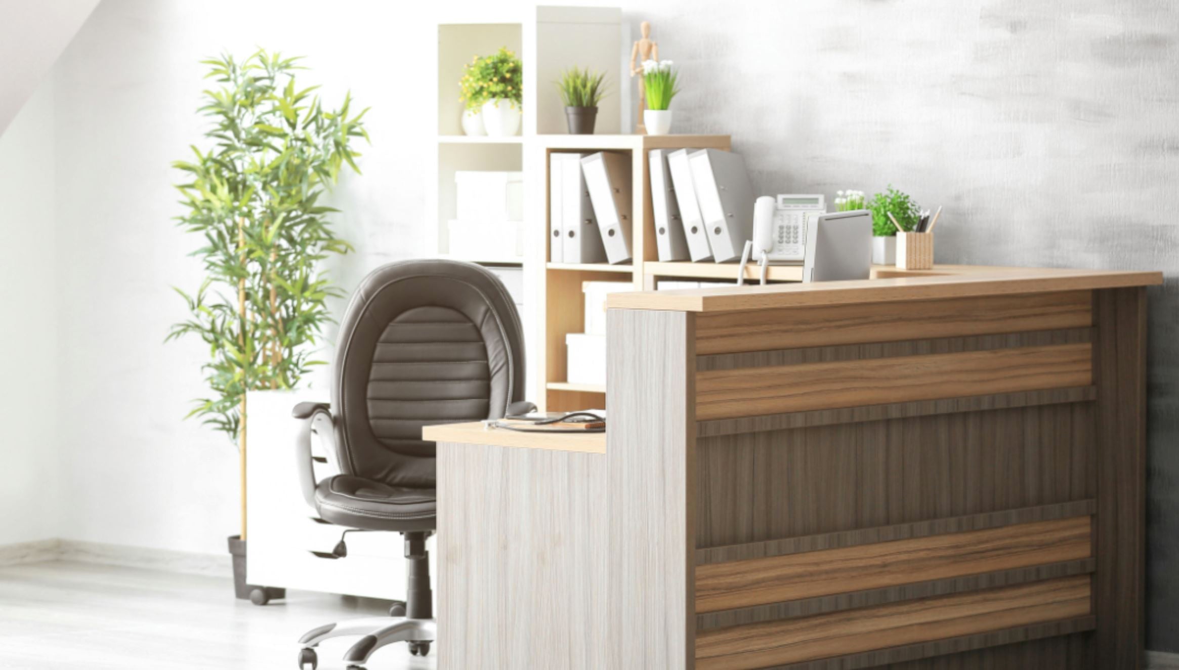 8 Ways Houseplants Can Improve Your Well-being