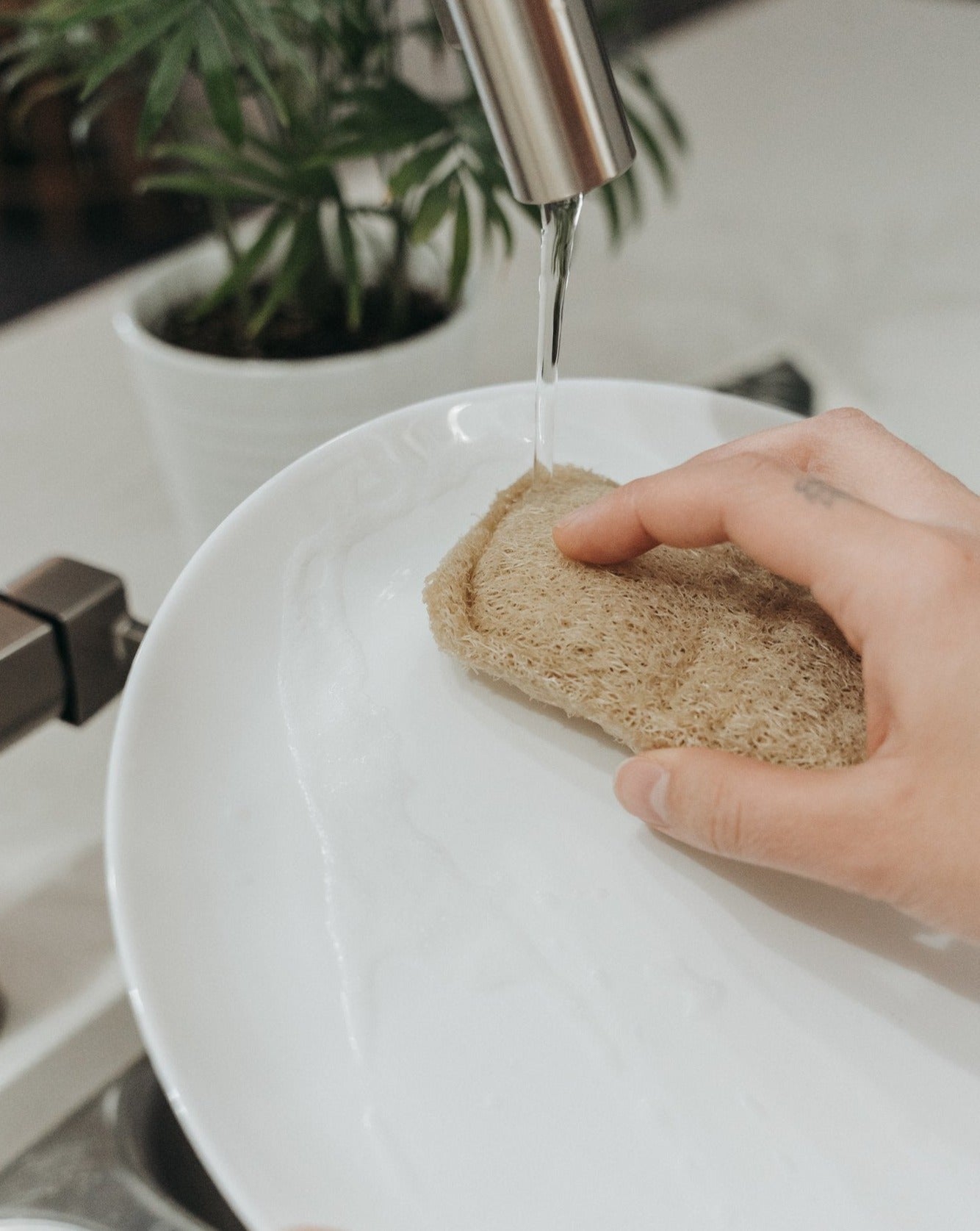3 Pack Natural Loofah Sponge | Plastic-Free Dish Sponge | Zero Waste MVMT