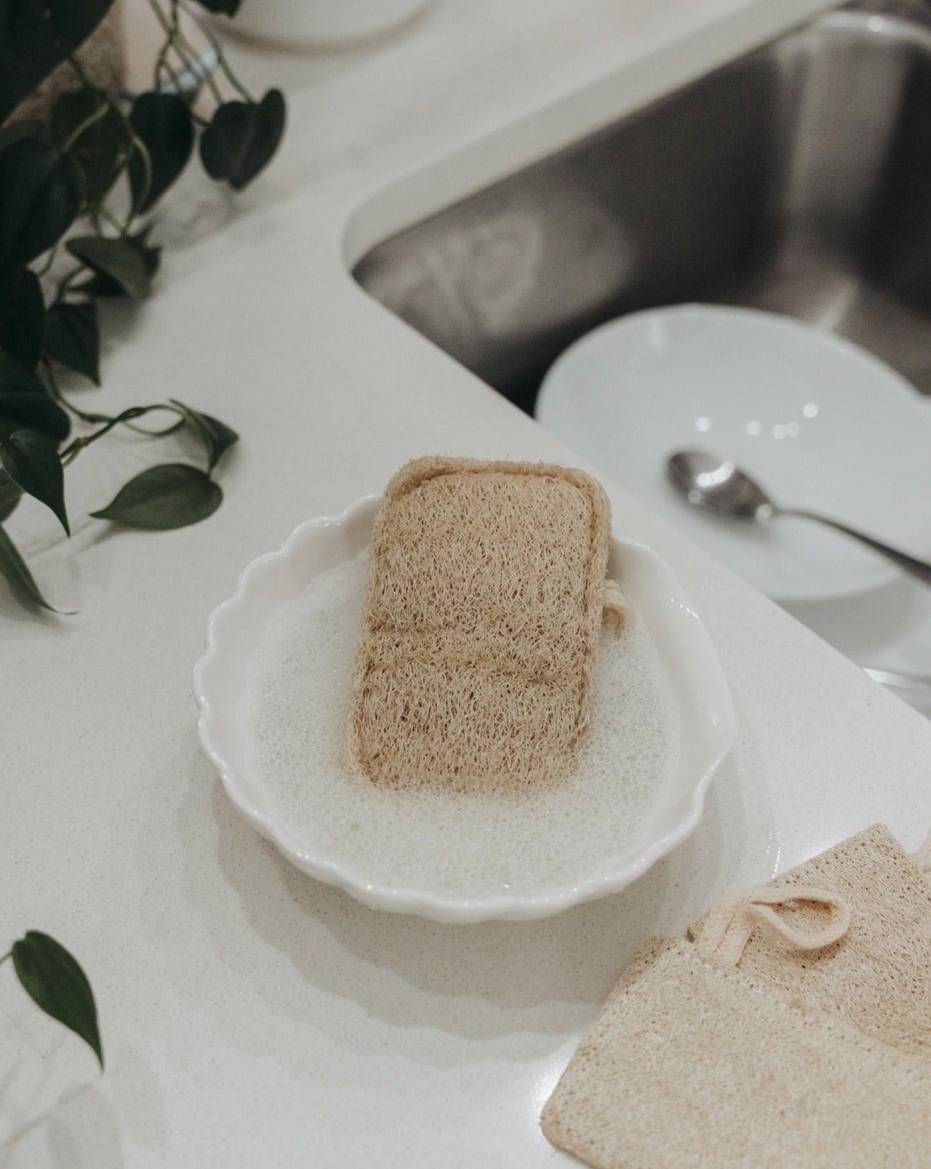 3 Pack Natural Loofah Sponge Bath Sponges & Loofahs Zero Waste MVMT