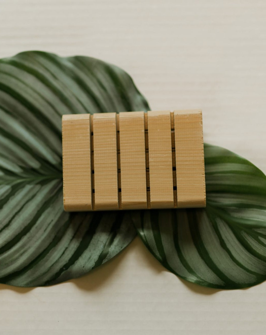 Cedar Soap Tray Zero Waste MVMT