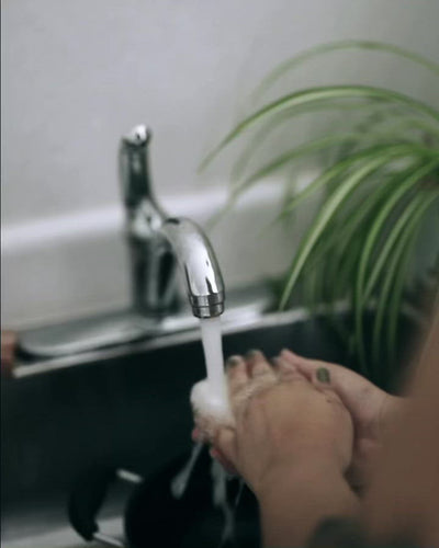 Solid Dish Soap Bar | Bergamot + Lime