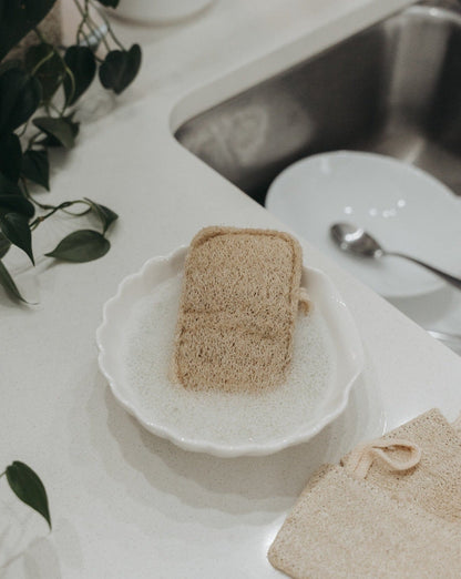 3 Pack Natural Loofah Sponge Bath Sponges & Loofahs Zero Waste MVMT 