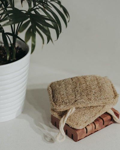 3 Pack Natural Loofah Sponge Bath Sponges & Loofahs Zero Waste MVMT 