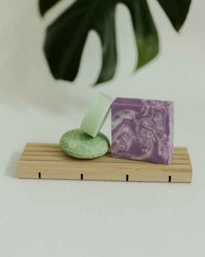 Bar Bundle & Tray (Shower Collection) Zero Waste MVMT 