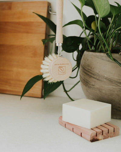 Bergamot + Lime Solid Dish Bar Zero Waste MVMT 