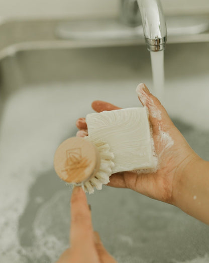 Solid Dish Soap Bar | Unscented Zero Waste MVMT 