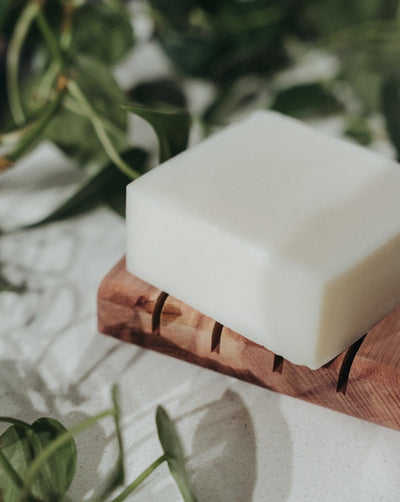 Solid Dish Soap Bar | Unscented Zero Waste MVMT 